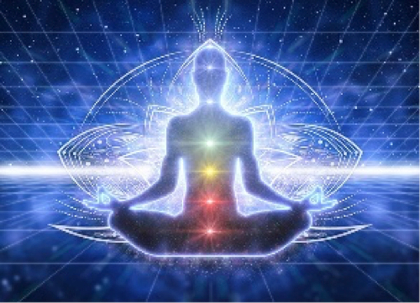 QUEX Quantum Biofeedback